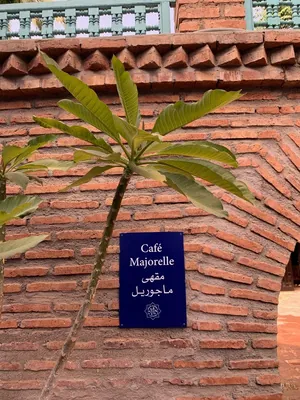 Une plante devant un mur de brique rouge et la plaque bleue du Café Majorelle.