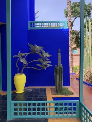 Un pot jaune devant un mur bleu Majorelle.