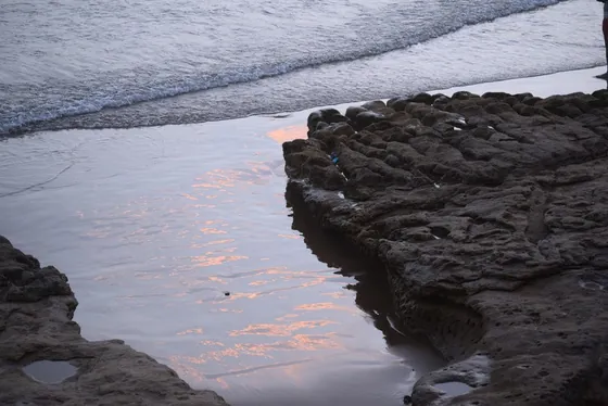 Rochers et mer au crépuscule, reflets roses sur l’eau.